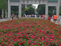 -田园小观园(武大店)