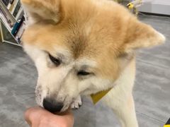 -五进制 Coffee Shop