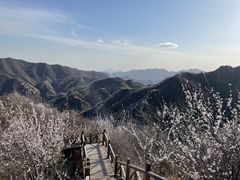-大岭沟猕猴桃谷风景区