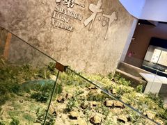 -上海崧泽遗址博物馆