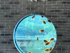 -珠海圆明新园