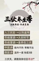 -YESIDO椰岛美容