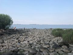 -吴淞炮台湾湿地森林公园烧烤区