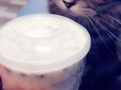 -九秋茶铺(三里屯店)