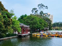 -西湖公园(鼓楼区)