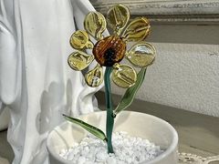 -石家庄万象城