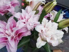 -爱尚幸福鲜花(上地实体店)