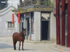 -盛世南宫影视城(北普陀影视城)