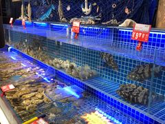 水产区-必点海鲜·鲅鱼水饺(鞍山西道店)