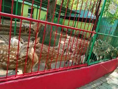 -荆州中山公园动物园