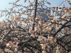 -白塘生态植物园