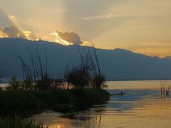 -阿鹏故事野生菌火锅(古城店)