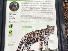 -天目山大树王景区