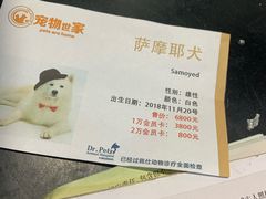 -宠物世家(仲盛世界商城店)