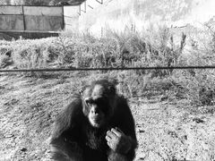 -新疆天山野生动物园