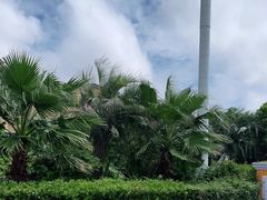 -平湖九龙山乐满地水上乐园