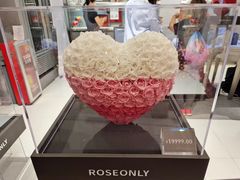 -ROSEONLY诺誓(广州K11店)