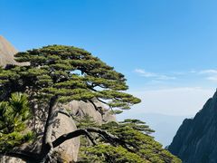 -黄山风景区