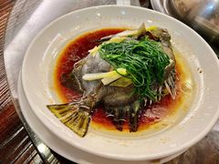 金古鱼-东江港海鲜城(广雅花园别墅区店)