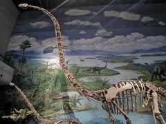 -自贡恐龙博物馆