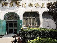 -北京赛佳动物医院