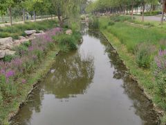 -东郊湿地公园