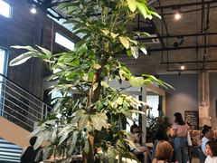 大堂-GOTLOT COFFEE&KITCHEN角落厨房NOOK店