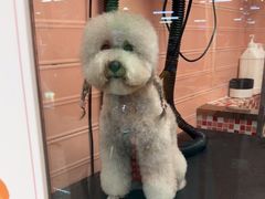 -FAELING PETS美天灵宠物(合生汇店)