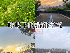 -飞凤山奥体公园