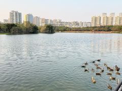 -南宁南湖公园