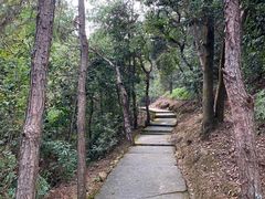 -风云岭森林公园