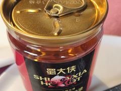 -蜀大侠·侠客印象(园林博物馆店)