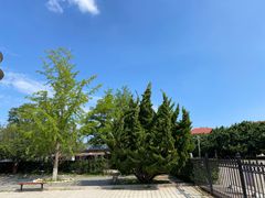 -旅顺博物馆