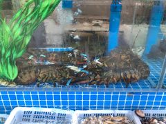 水产区-富临港·蒸汽海鲜·手抓海鲜·炒菜(栈桥店)