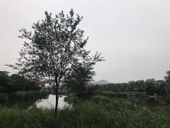 -前关湿地公园