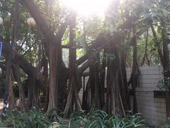 -晓港公园