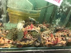 -浩海美食店(闸坡店)