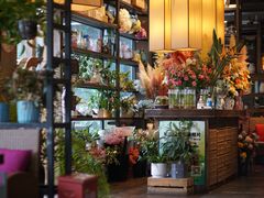 -芭缇沁园椰子鸡(中航紫金新天地店)