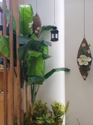 -芳朵美容养生SPA