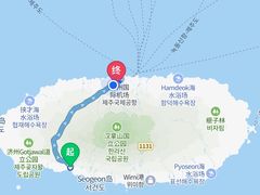 -西归浦每天偶来市场
