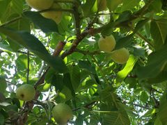 -水库活鱼馆(于桥水库店)