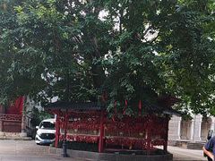 -两江国际影视城