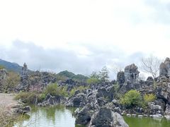 -千岛湖石林