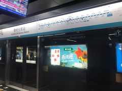 -黄村火车站(地铁站)