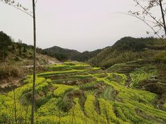 -灵山景区梯田