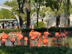 -辛玛王国游乐园