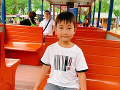 -永定河休闲森林公园