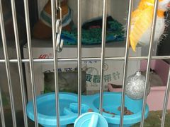 -宠福鑫动物医院·动物疾病诊疗中心(天通苑店)