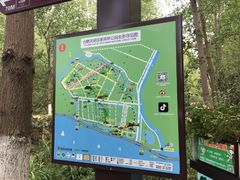 -合肥滨湖国家森林公园