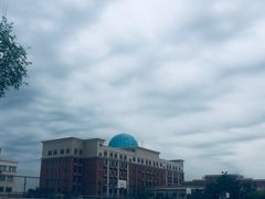 -南开大学滨海学院